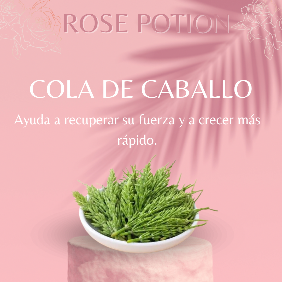 3 Ampolletas Rose Potion