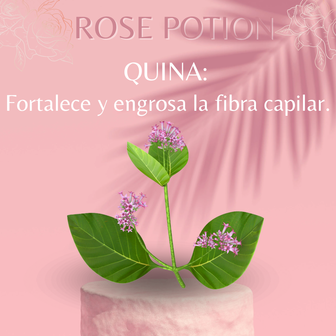 3 Ampolletas Rose Potion